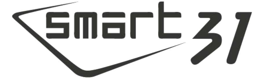 SMART 31 Logo S